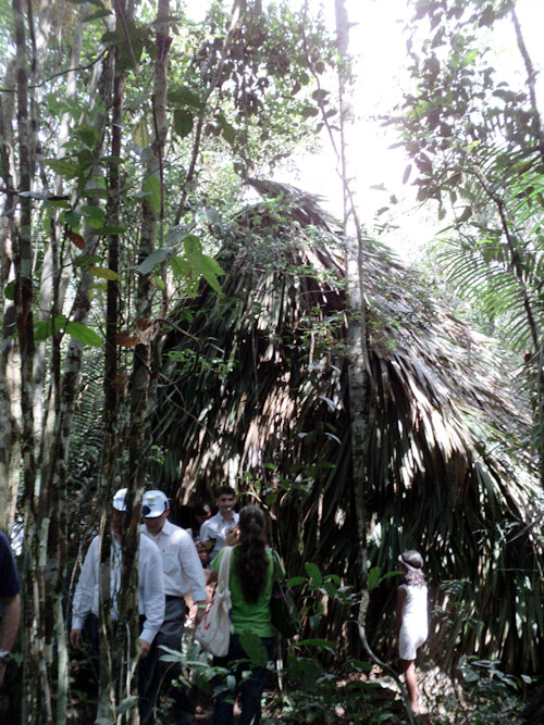 manaus_08