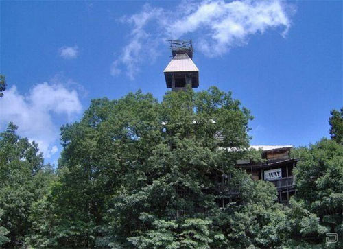 8527989 e9e52c8b24 o3 Maior casa na árvore do mundo